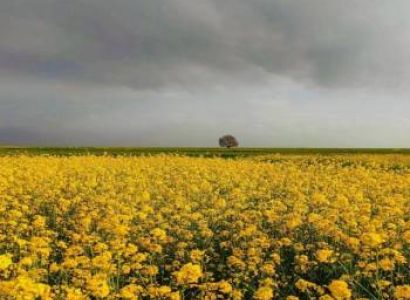 5 Nights 6 Days Kashmir  Family Package