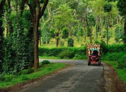 2nigth 3 Days Coorg Package