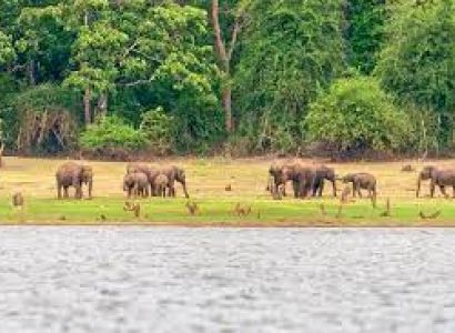 Coorg Nagarahole leisure 03 night 04 days from Bangalore