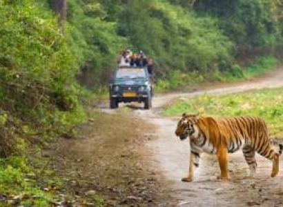Jim Corbett Package For 2N 3D