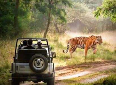 Jim Corbett Tour Package Itinerary 3 Days - 2 Nights