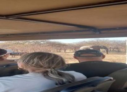 1 Day Chobe Full Day Trip