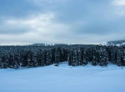 4 Nights 5 Days Kashmir Trip