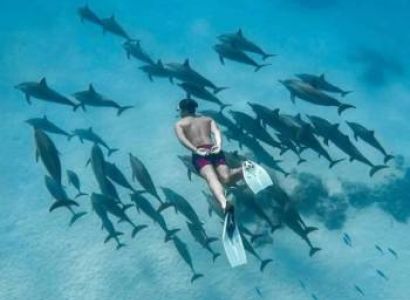 Zanzibar Vacation - Amazing 4-Day Of Swim - Explore - Relax Tour