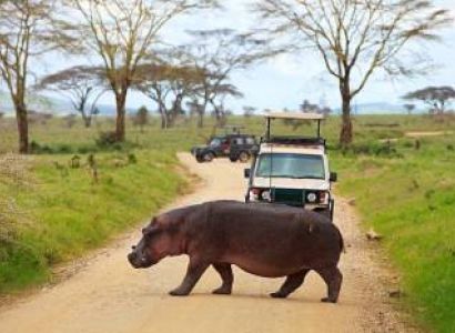 8 Days In Zanzibar With Mikumi Full Day Tour