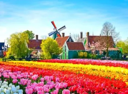 The Essential Holland and France