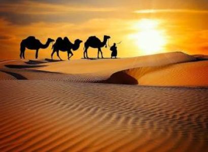 Best-Selling 7 Days Rajasthan Tour Packages For Memorable Vacay