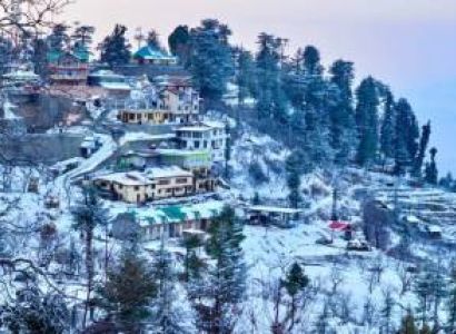6Night 7Days Shimla - Kufri - Chail - Kullu - Manali Tour