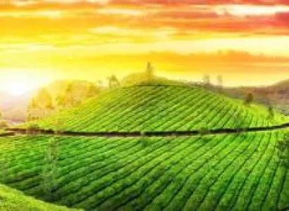 6 Night - 7 Days Kerala Tour Package - 2