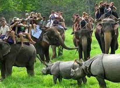 Guwahati - Kaziranga Tour Package 2 Night - 3 Days