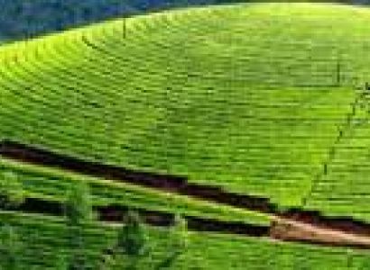 2NIGHT 3DAYS PACKAGE