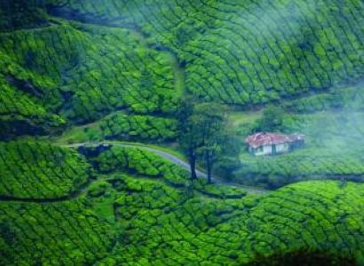 7 Night 8 Dyas  Kerala Tour Package