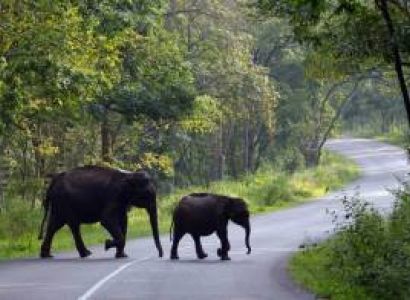 2 Nights 3 Days Wayanad Weekend Tour Package