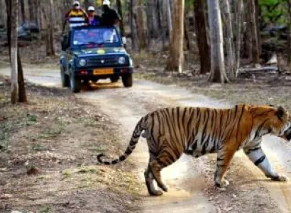 11 Day Tiger Special Tour Package