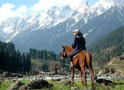 04 NIGHTS  05 DAYS Kashmir Tour Package