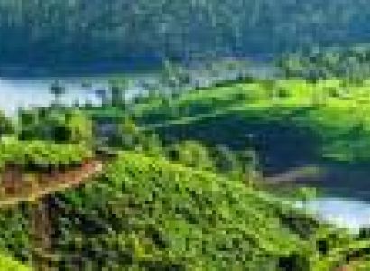 4 Nights - 5 Days Kerala Tour Package