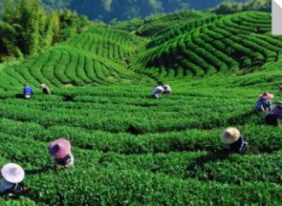 6 Night 7 Days Gangtok Tour