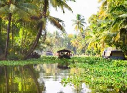 Munnar - Alleppey 03 Nights 04 Days Tour