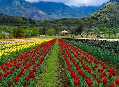 5 night 6 days Kashmir Tour Image