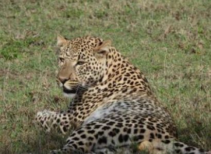 2 Day Tanzania Safari