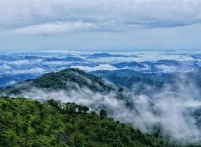5 Night 6 Days Wayanad - Kochi- Munnar Tour