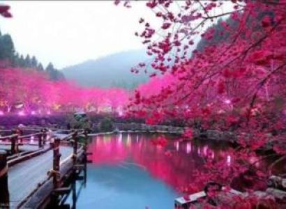 6 Days Guwahati - Shillong - Dawki Package