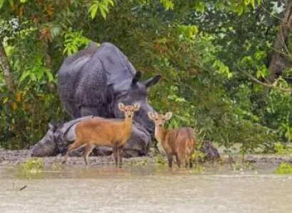 2 Night - 3 Days Kaziranga Tour Package