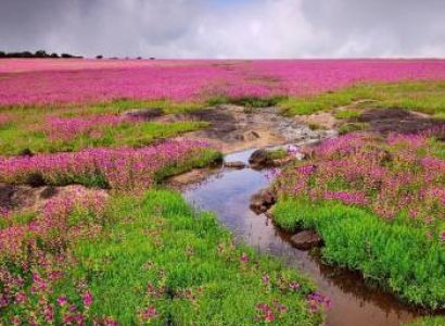 7N Pune - Satara - Ganpatipule - Tarkarli - Kolhapur - Solapur Tour