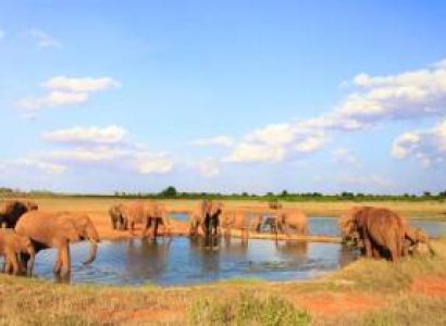 10 Days Kenya Photo Safari Adventure Tour