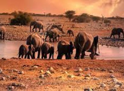 Golden Triangle with Ranthambore- 9 Days Tour