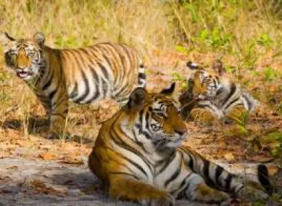 9 Days Delhi To Madhya Pradesh Tour