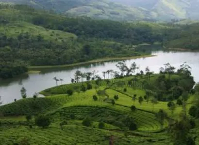 Munnar - Alleppey Tour 2 Night - 3 Days