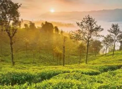 7 Night - 8 Days Karnataka Tour Package - 2