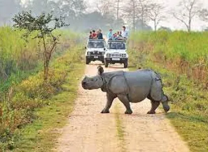 7 Night 8 Days Guwahati - Shillong - Cherrapunji - Kaziranga Tour Package