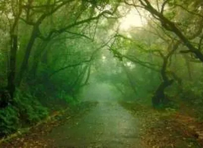 5 Night - 6 Days Maharashtra Tour Package - 1