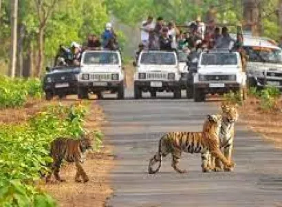 2 Night - 3 Days Odisha Tour Package