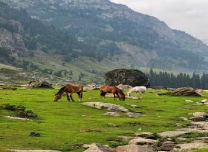 The Pristine Kashmir 4N5D