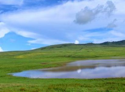 3 Day Luxury Fly In, Fly Out Safari