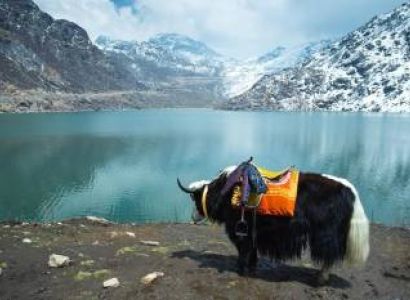 Amazing Gangtok 08 Nights - 09 Days Tour