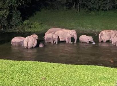 3 N/4 D Coimbatore To Munnar Thekady Package