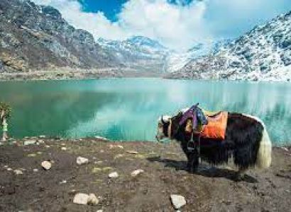 Gangtok 4 Days Budget Tour Package