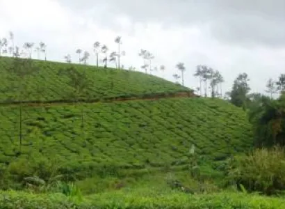 Coorg Package from Mangalore