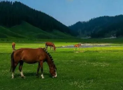 Kashmir Grand Road Traverse | High-Altitude Passes