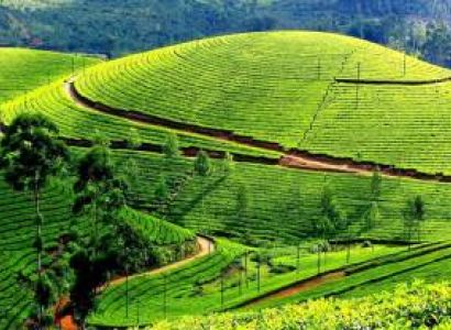 8D Nainital - Almora - Binsar - Kausani - Ranikhet - Corbett Tour