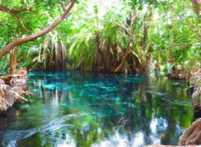 Chemka - Kikuletwa Hot Spring Day Trip