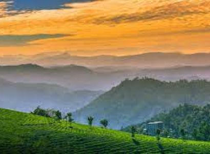 4D 3N Munnar Tour