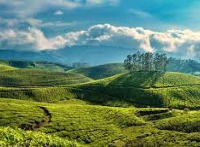 4D 3N Munnar - Thekkady Tour
