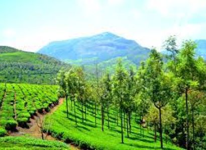 5D 4N Munnar - Thekkady - Alappuzha Tour
