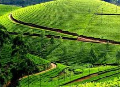 7D 6N Munnar Thekkady Alappuzha Kovalam Kanyakumari Tour