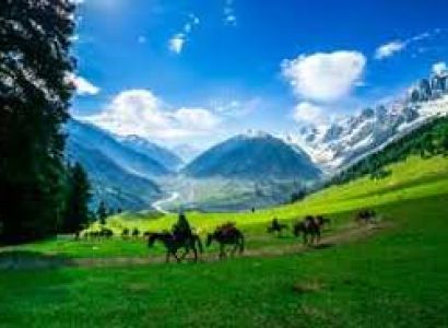 Kashmir Group package